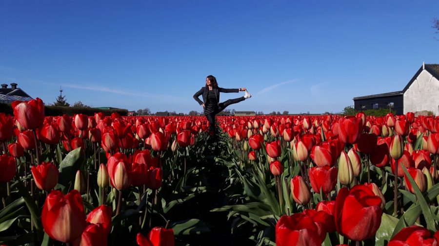 yoga in dutch tulips